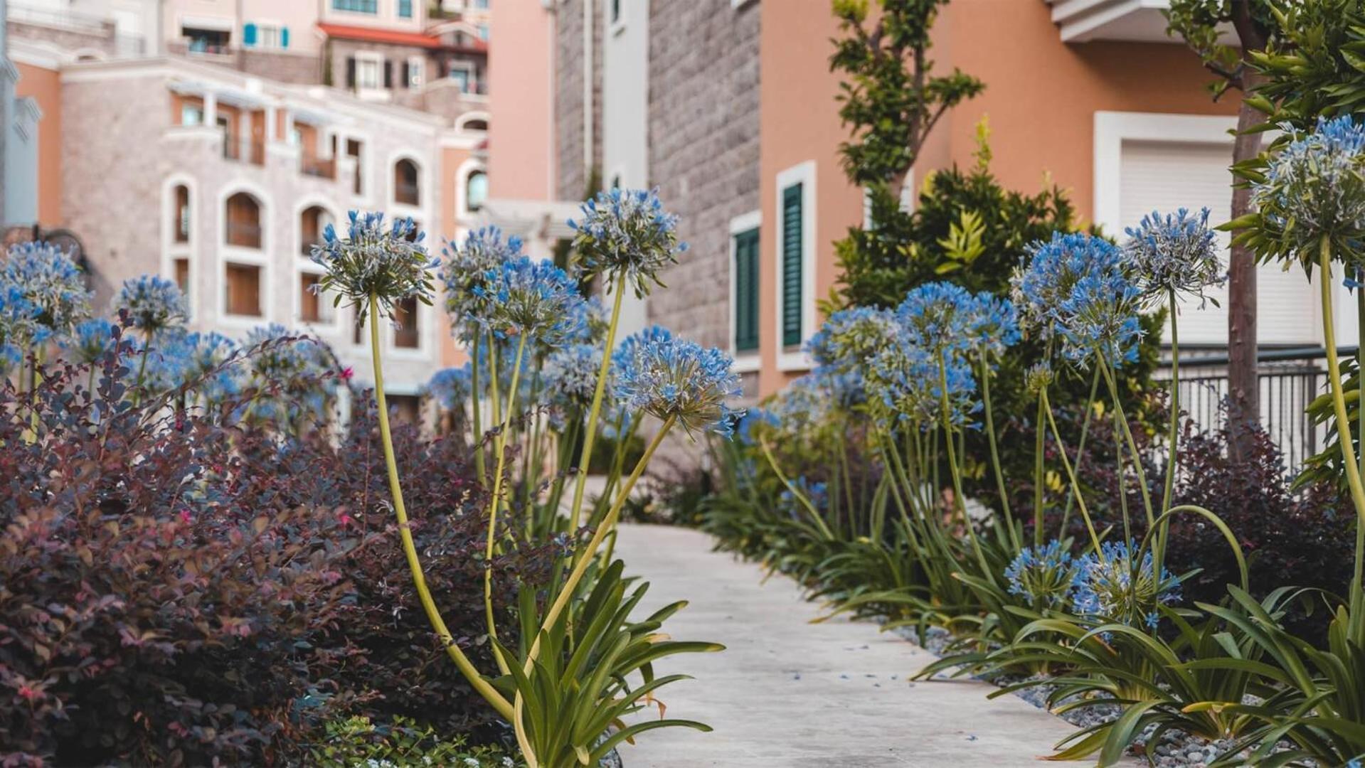 Lustica Bay Apartment'S Τίβατ Εξωτερικό φωτογραφία